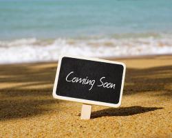 Turtle Suite -1 Bedroom / 1 Bath (Coming Soon)